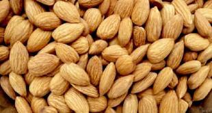 Dry Fruits Shop in Tirupati
