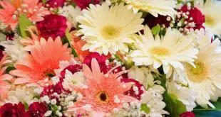 Flower Delivery in Tirupati