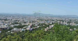 Online Grocery Delivery in Tirupati