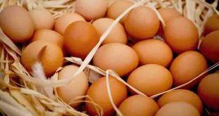 Organic Eggs in Tirupati