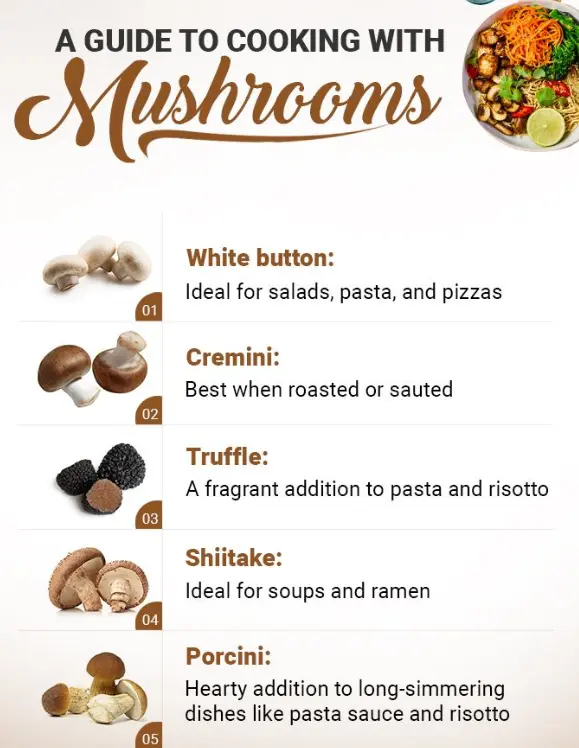 Organic Mushrooms Health Benefits, Store, Cost, Book, Tirupati