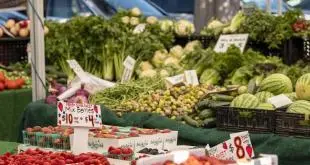 Fruits Artificial Ripening