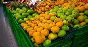 Tirupati Mango Mandi