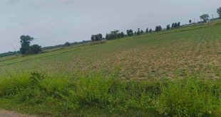 Agriculture Land For Sale In Injambakkam Chennai